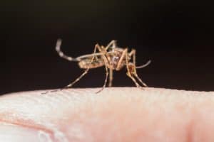 Dengue em condomínio